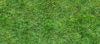 How to Remove Grass Stains